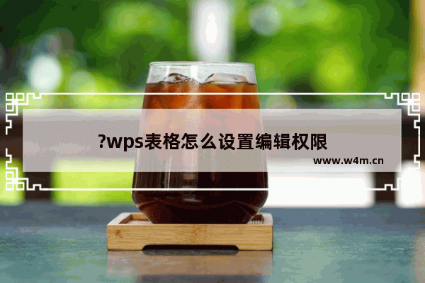 ?wps表格怎么设置编辑权限