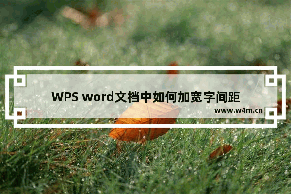 WPS word文档中如何加宽字间距