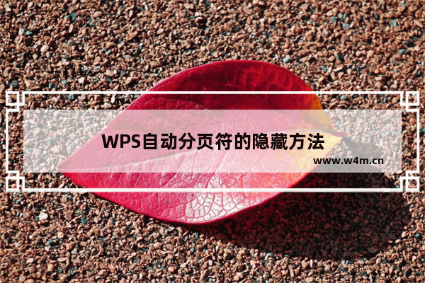 WPS自动分页符的隐藏方法