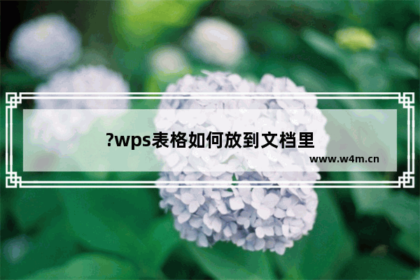 ?wps表格如何放到文档里