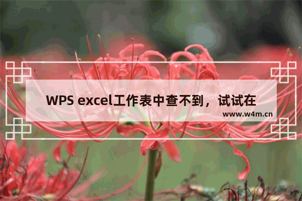 WPS excel工作表中查不到，试试在工作簿中查找