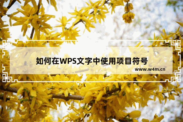 如何在WPS文字中使用项目符号