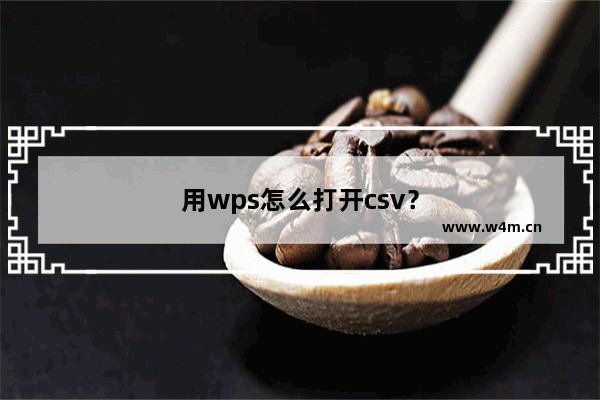 用wps怎么打开csv？