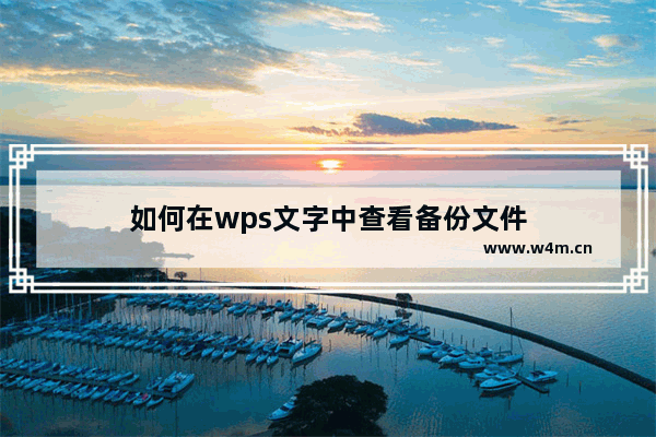 如何在wps文字中查看备份文件