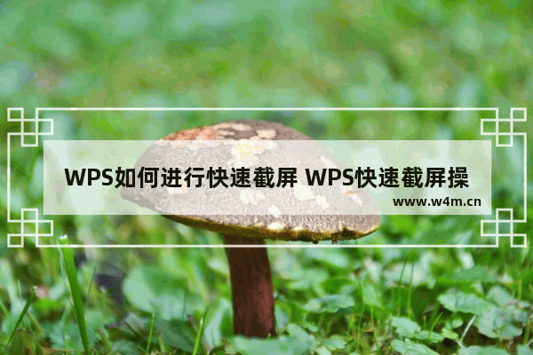 WPS如何进行快速截屏 WPS快速截屏操作方法