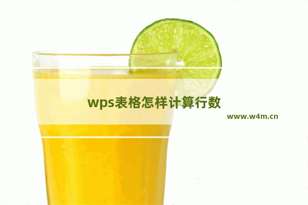 wps表格怎样计算行数