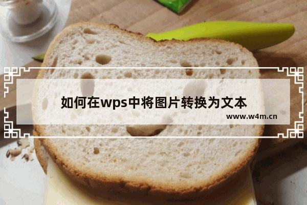 如何在wps中将图片转换为文本