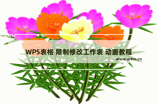 WPS表格 限制修改工作表 动画教程