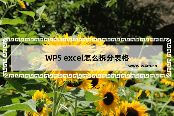 WPS excel怎么拆分表格