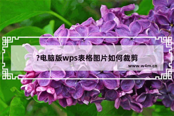 ?电脑版wps表格图片如何裁剪