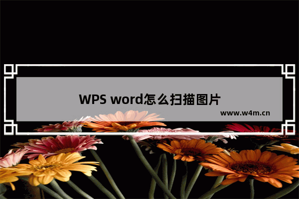 WPS word怎么扫描图片