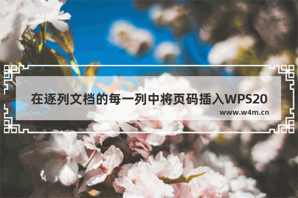 在逐列文档的每一列中将页码插入WPS2013文本的方法