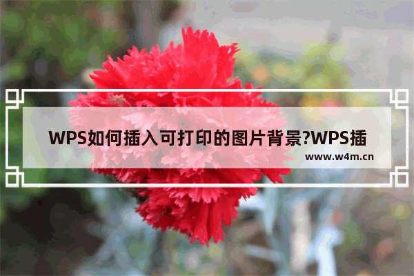 WPS如何插入可打印的图片背景?WPS插入可打印的图片背景方法教程