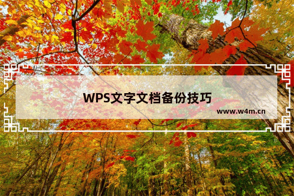 WPS文字文档备份技巧