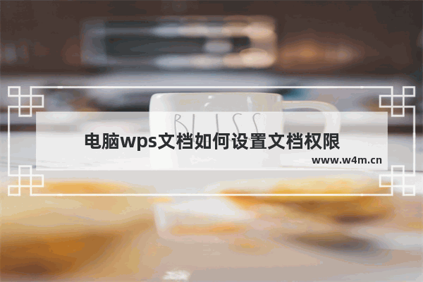 电脑wps文档如何设置文档权限