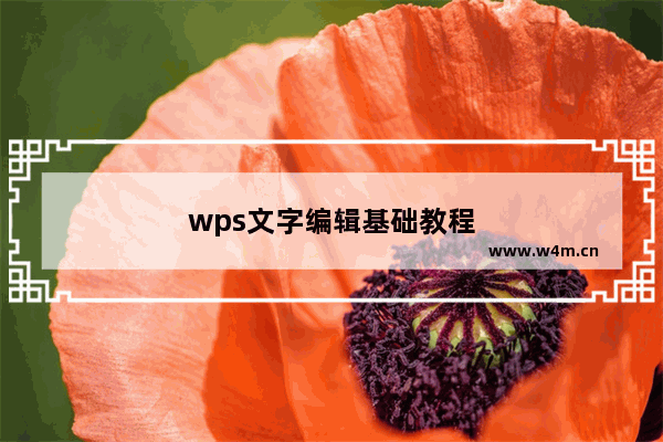 wps文字编辑基础教程