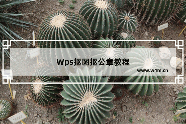 Wps抠图抠公章教程