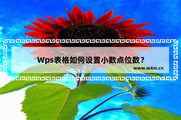 Wps表格如何设置小数点位数？