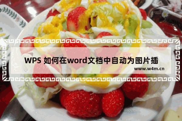 WPS 如何在word文档中自动为图片插入题注