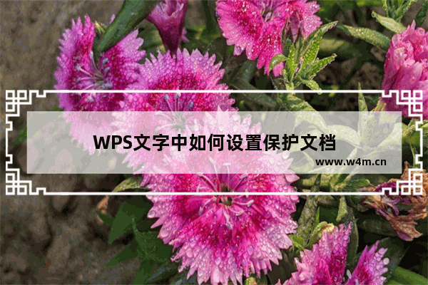 WPS文字中如何设置保护文档