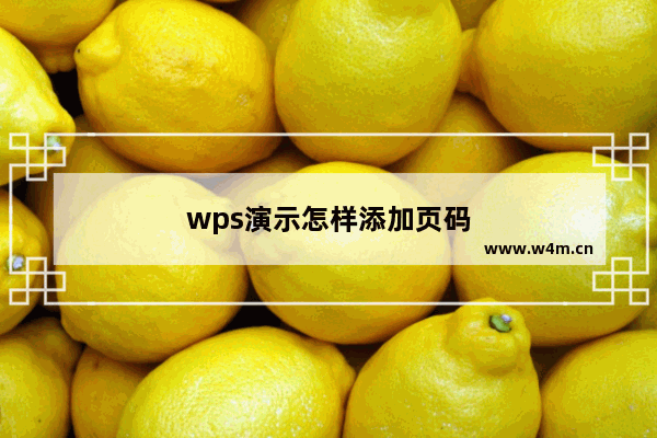 wps演示怎样添加页码