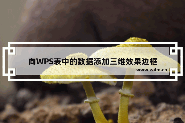 向WPS表中的数据添加三维效果边框