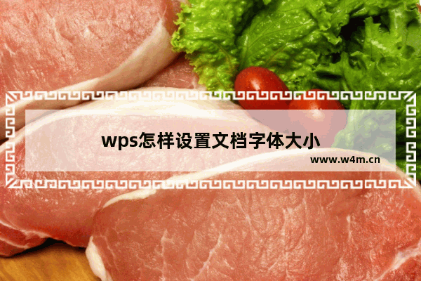 wps怎样设置文档字体大小