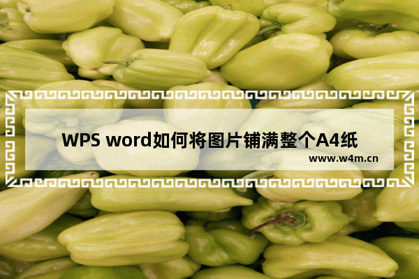 WPS word如何将图片铺满整个A4纸张