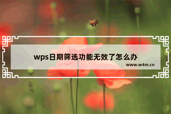 wps日期筛选功能无效了怎么办