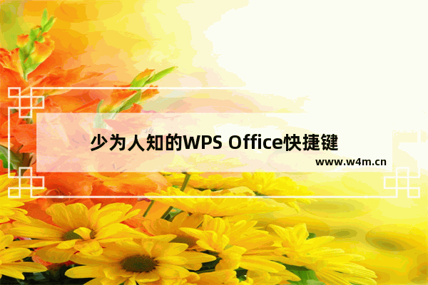 少为人知的WPS Office快捷键