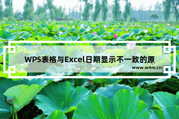 WPS表格与Excel日期显示不一致的原因