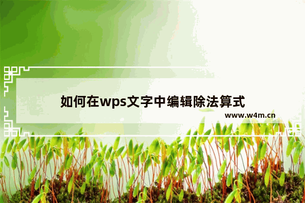 如何在wps文字中编辑除法算式