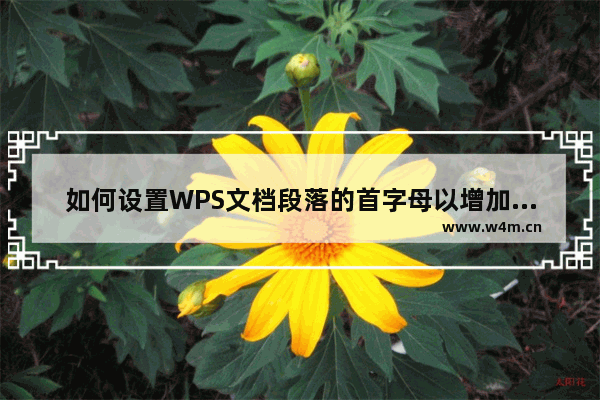 如何设置WPS文档段落的首字母以增加下沉效果 从而突出