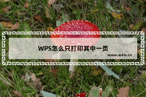 WPS怎么只打印其中一页