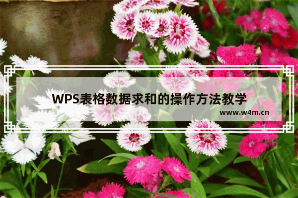 WPS表格数据求和的操作方法教学