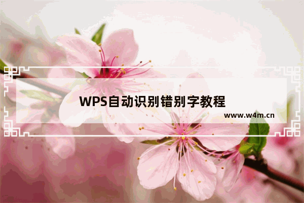 WPS自动识别错别字教程