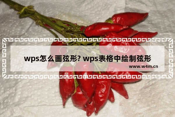 wps怎么画弦形? wps表格中绘制弦形的教程