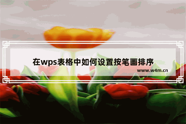 在wps表格中如何设置按笔画排序