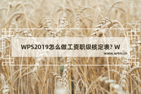 WPS2019怎么做工资职级核定表? WPS工资职级核定表模板的做法