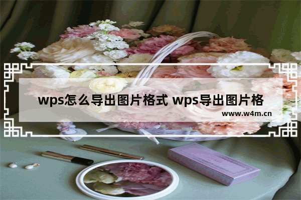 wps怎么导出图片格式 wps导出图片格式方法【详解】