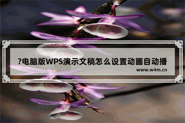 ?电脑版WPS演示文稿怎么设置动画自动播放