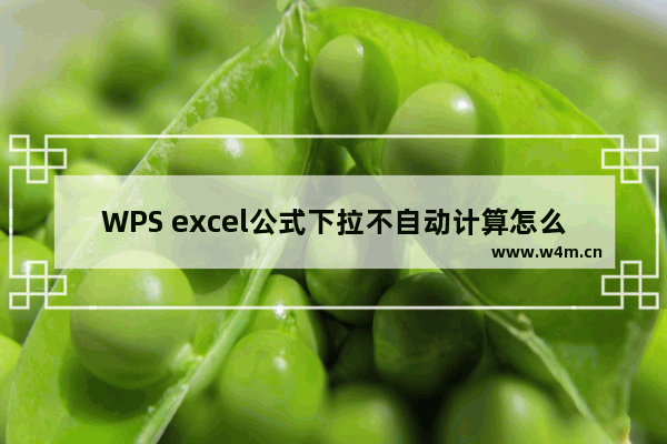 WPS excel公式下拉不自动计算怎么解决