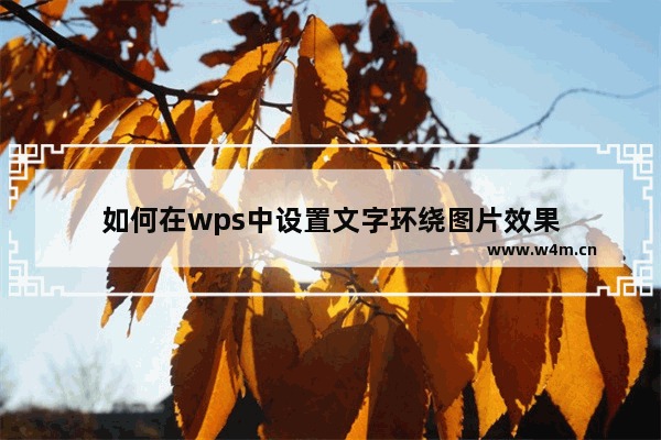 如何在wps中设置文字环绕图片效果