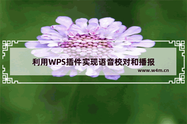 利用WPS插件实现语音校对和播报