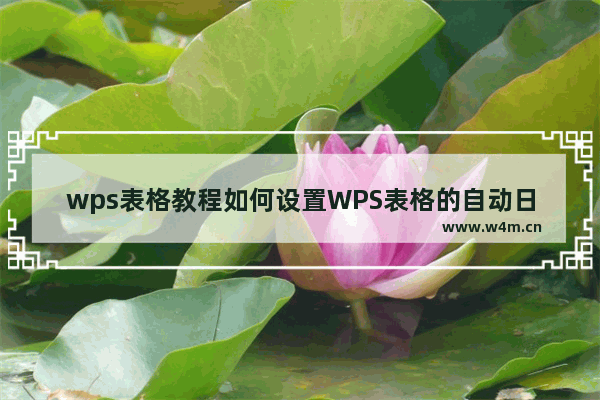 wps表格教程如何设置WPS表格的自动日期