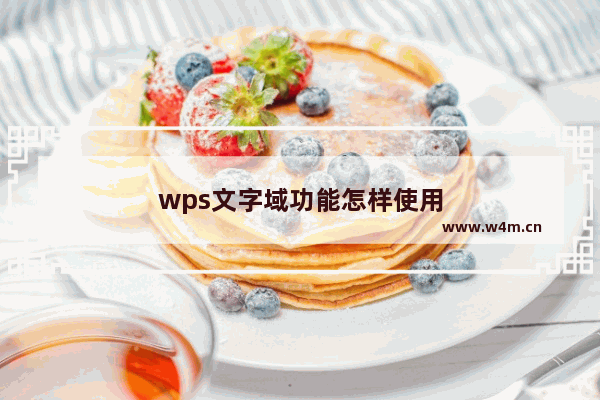 wps文字域功能怎样使用