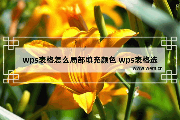 wps表格怎么局部填充颜色 wps表格选中区域颜色设置教程