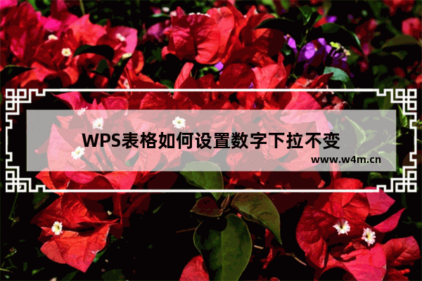 WPS表格如何设置数字下拉不变