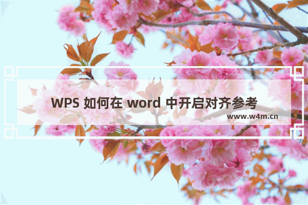 WPS 如何在 word 中开启对齐参考线