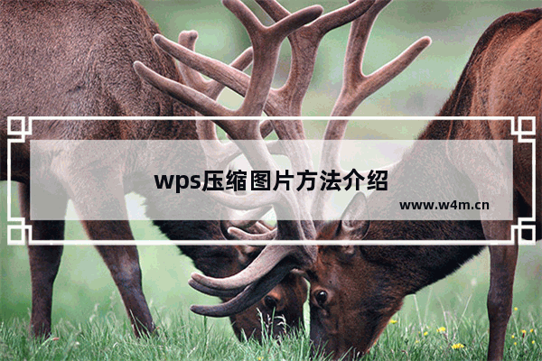 wps压缩图片方法介绍